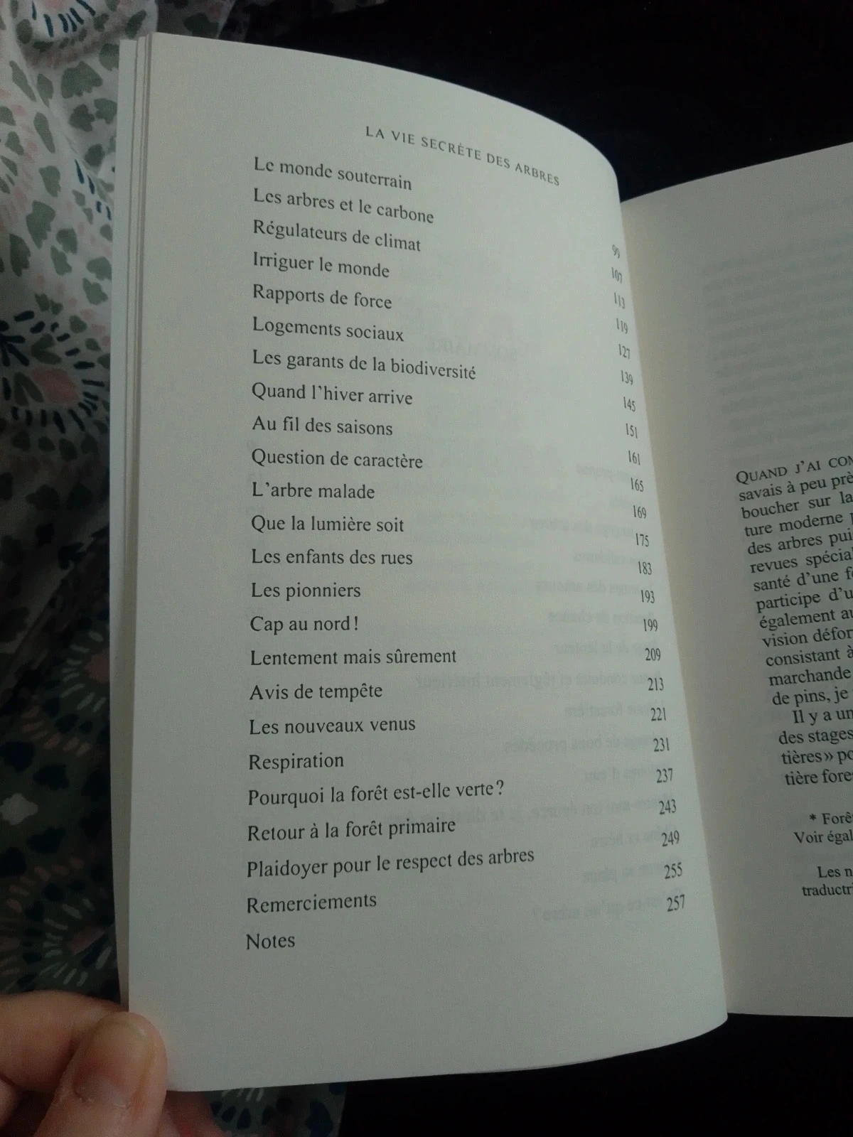 La vie secrète des Arbres – photo 4